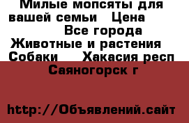 Милые мопсяты для вашей семьи › Цена ­ 20 000 - Все города Животные и растения » Собаки   . Хакасия респ.,Саяногорск г.